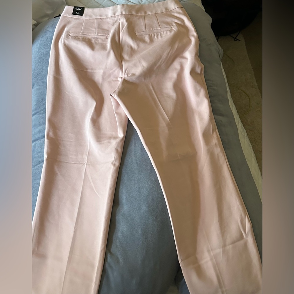 Express light pink pants nwt